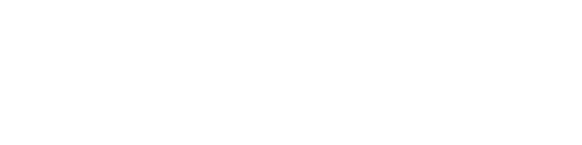 leadership vital sign - logo