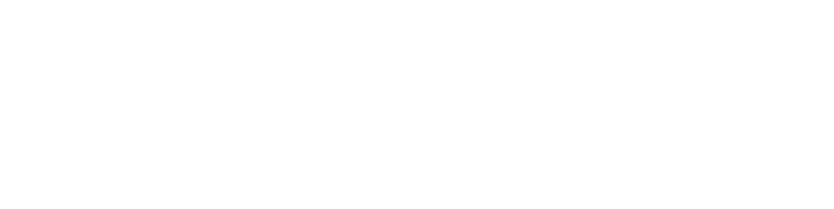 team vital sign - logo